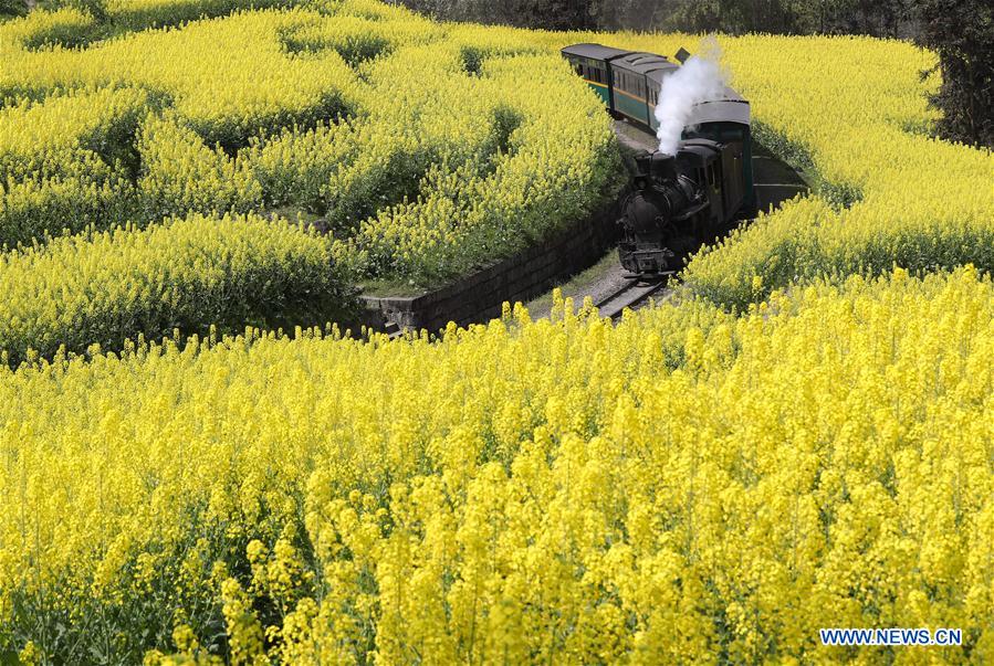 Una clásica locomotora a vapor atrae turistas en Sichuan