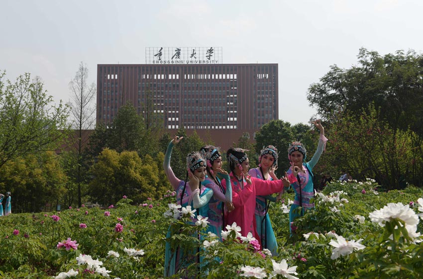 Estudiantes de la Universidad de Chongqing, provincia de Sichuan, interpretan “El jardín de las peonías” en el campus universitario. [Foto: Ye Weizheng]