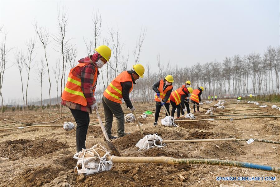 El proyecto ecológico de la Nueva área de Xiongan