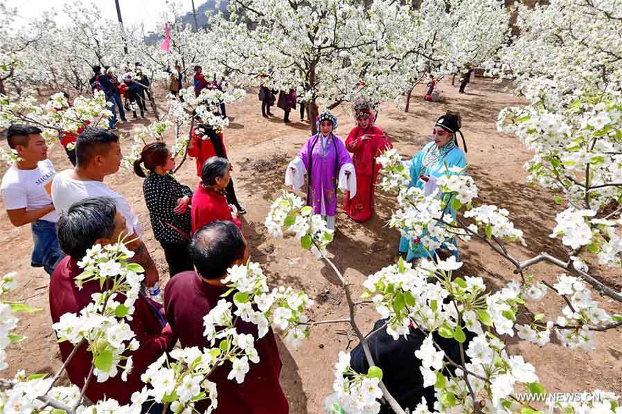 Amantes de la ópera china encarnan personajes en un jardín florecido 