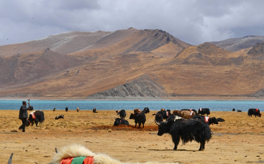 La primavera llega al lago Yamdrok