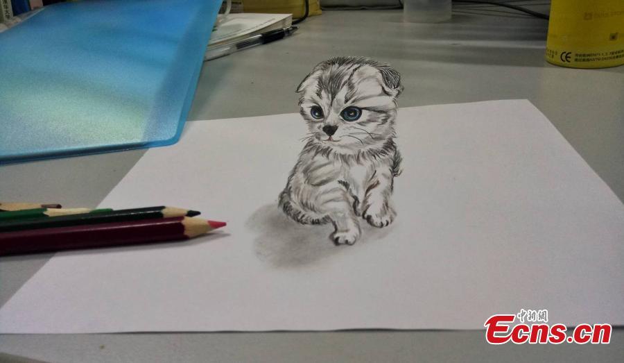 Estudiante chino crea magníficos dibujos 3D para su novia