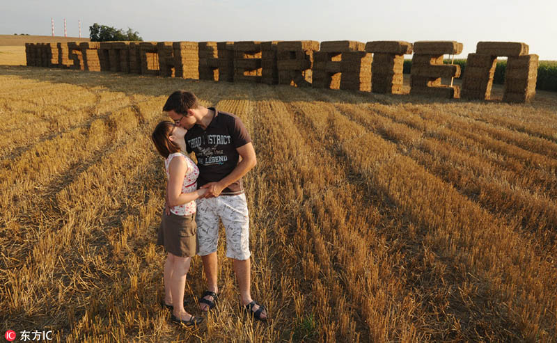 Markus Schmidt besa a su novia Corinna Pesl frente a fardos de paja con forma de letras que dicen "?Quieres casarte conmigo?" en Pettling, Alemania, el 22 de agosto de 2009. [Foto / IC]