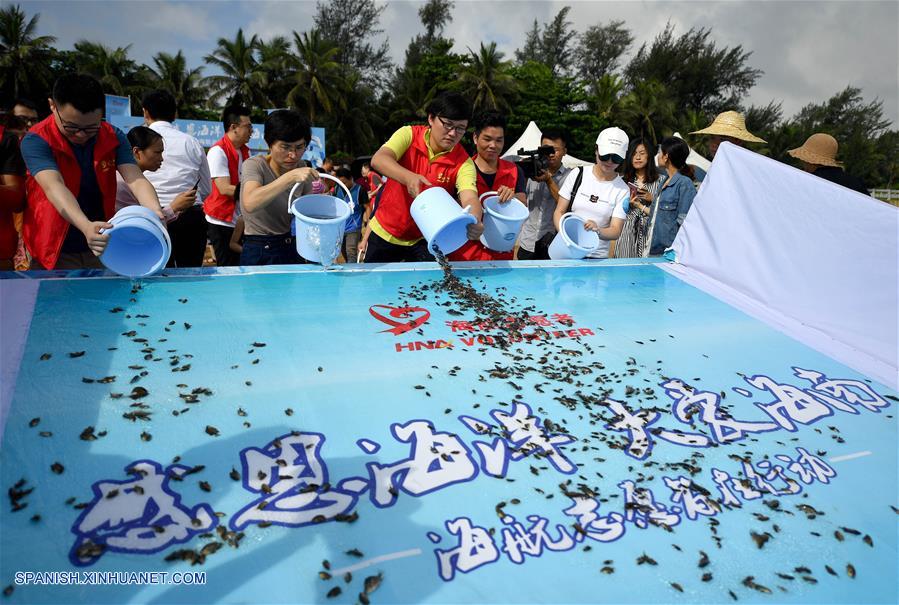 HAINAN, junio 8, 2018 (Xinhua) -- Voluntarios y ciudadanos liberan alevines en el mar, en la ciudad de Haikou, capital de la provincia de Hainan, en el sur de China, el 8 de junio de 2018. Aproximadamente 100,000 alevines fueron liberados en el mar durante el día para recibir al Día Mundial de los Océanos. (Xinhua/Guo Cheng)