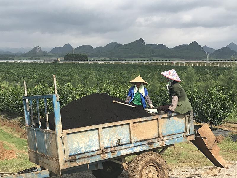 Laibin incorpora el turismo rural a la industria agrícola para fomentar la economía local