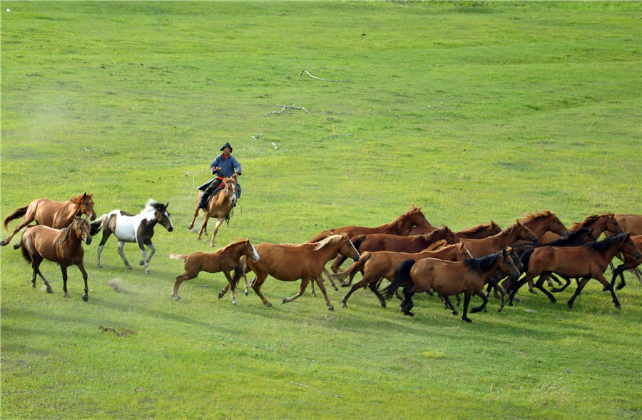 Las hermosas praderas de Hulunbuir en Mongolia Interior