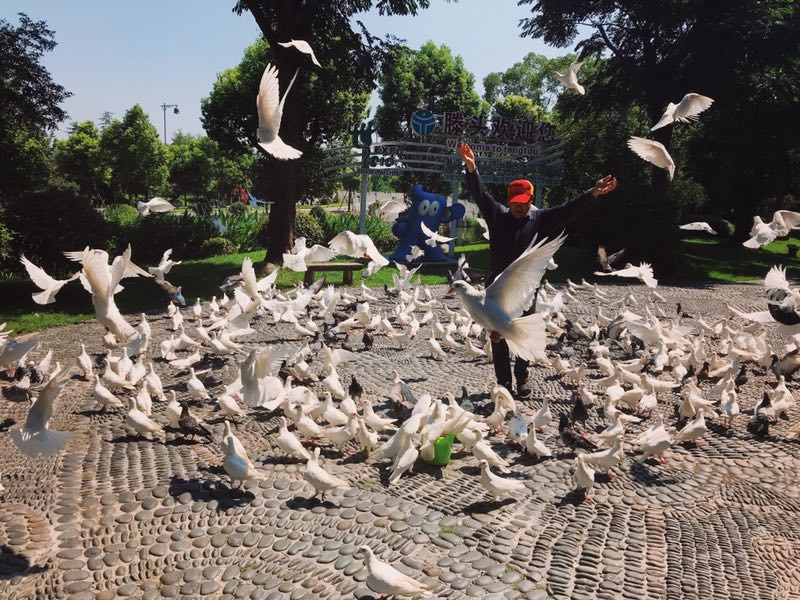 Xu Jianyun, entrenador de aves de 63 a?os de edad, fue contratado por las autoridades locales para mostrar las habilidades de sus palomas.