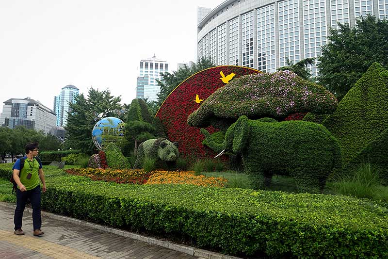 Se presentan ornamentos florales con el tema de la cumbre de Beijing del Foro sobre Cooperación China-áfrica