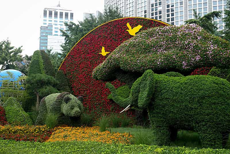 Se presentan ornamentos florales con el tema de la cumbre de Beijing del Foro sobre Cooperación China-áfrica