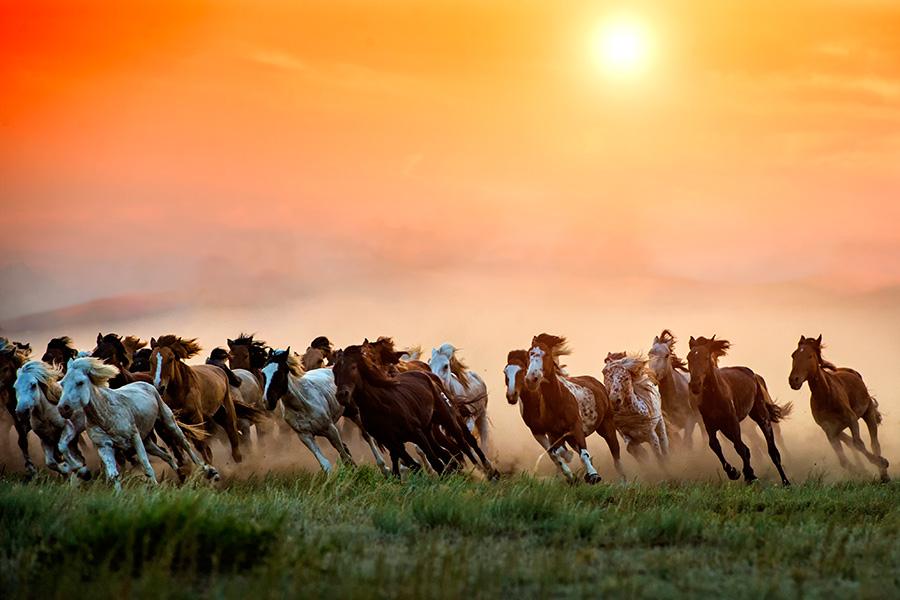 Amaneceres oto?ales sobre los prados de Mongolia Interior