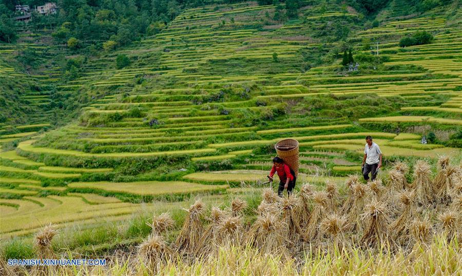 Chongqing: Huatian hace esfuerzos para promover turismo rural en a?os recientes