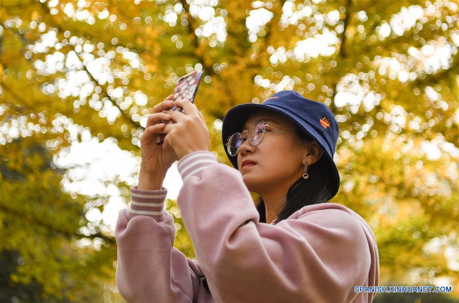 Personas posan frente a árboles de ginkgo en Liaoning