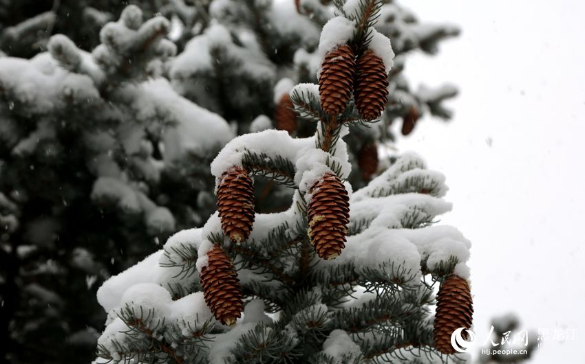 Cae nieve en la ciudad más fría de China