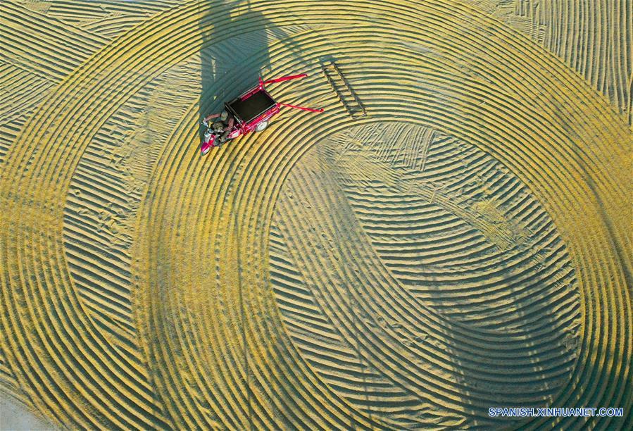 Agricultores trabajan en Jiangsu