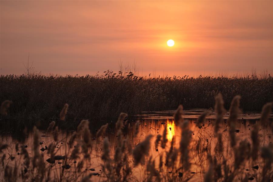 Imágenes de la salida del sol en la Nueva área de Xiongan