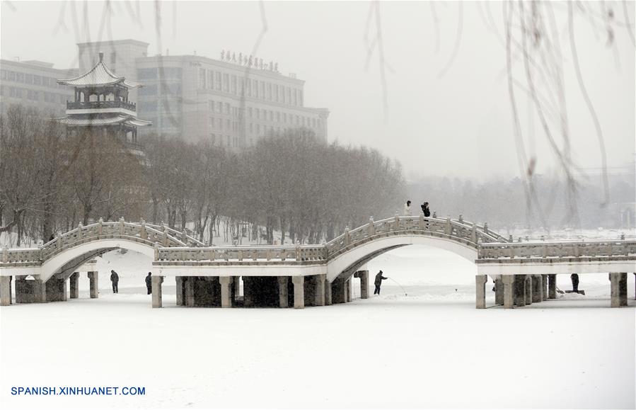 Personas observan la nevada en Changchun, Jilin