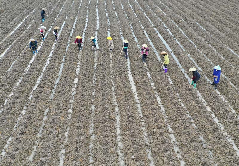 Drones vigilan la actividad rural en la provincia de Hunan.