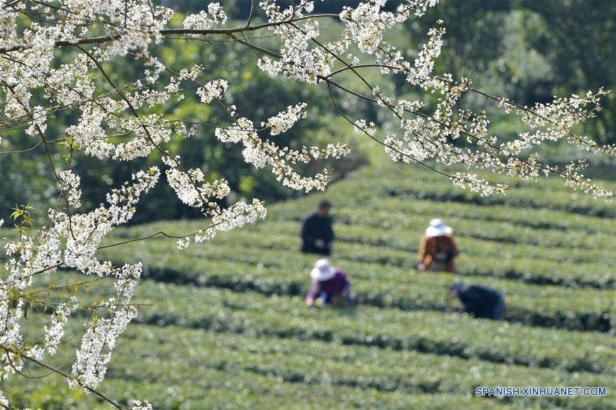 Granjeros se encuentran ocupados con trabajo agrícola