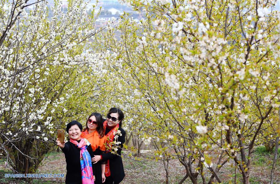 Turistas toman "selfies" con las flores de cerezo en Shaanxi