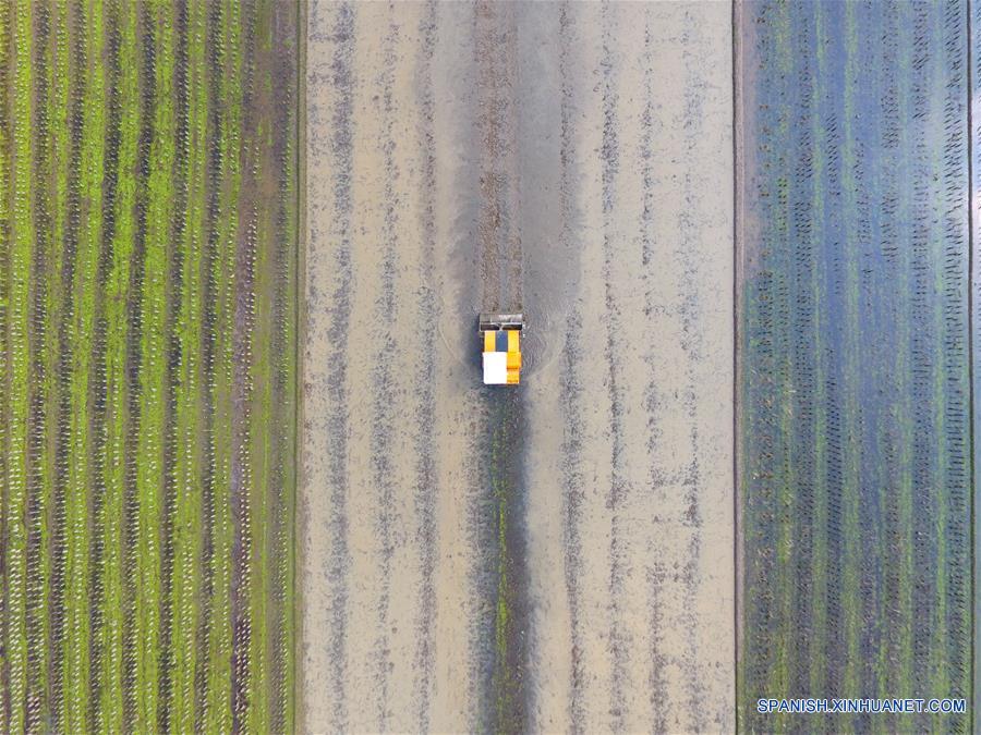 Agricultores trabajan en campos