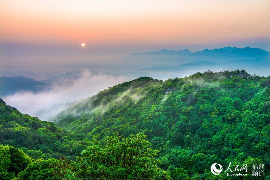 Reserva natural Meihuashan. (Foto: Huang Hai)