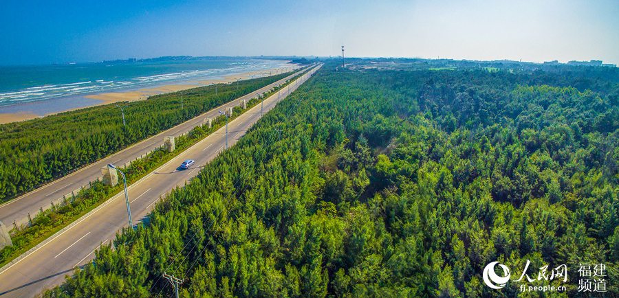 Bosque protegido de Jinjiang. (Foto: Huang Hai)