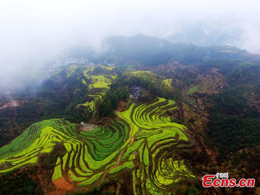 Belleza pastoral en Wuyuan