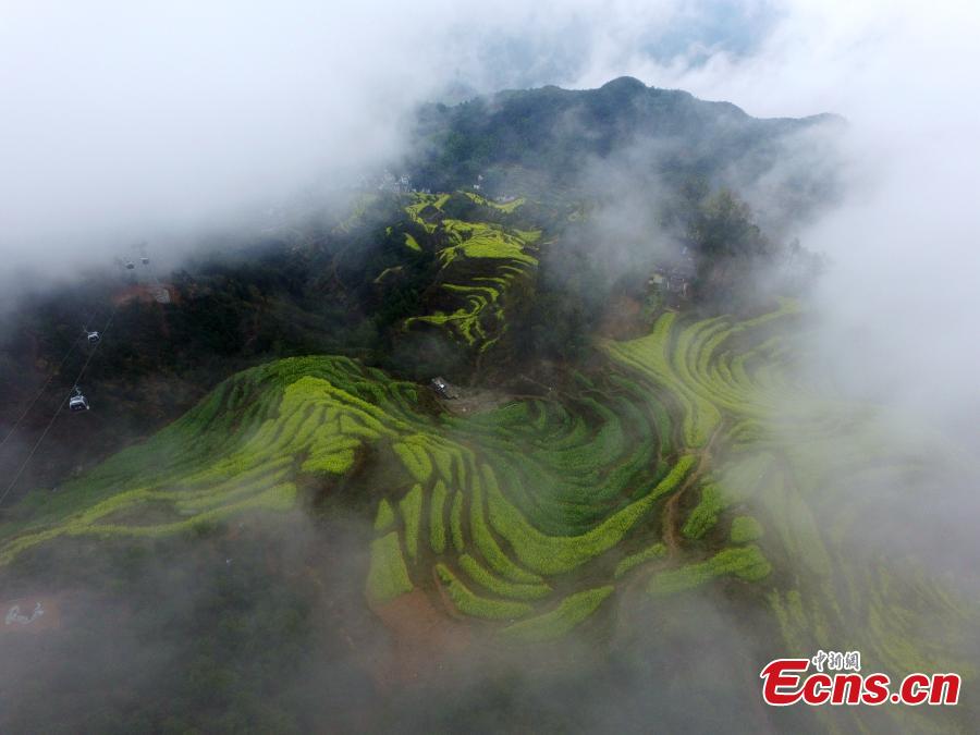 Belleza pastoral en Wuyuan