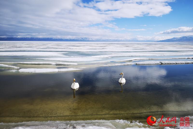 Lago Sayram: primaveral cuento de hadas en Xinjiang