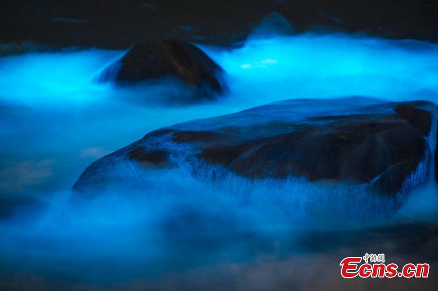 Efervecencia de algas azules hace centellear el agua de Fuzhou