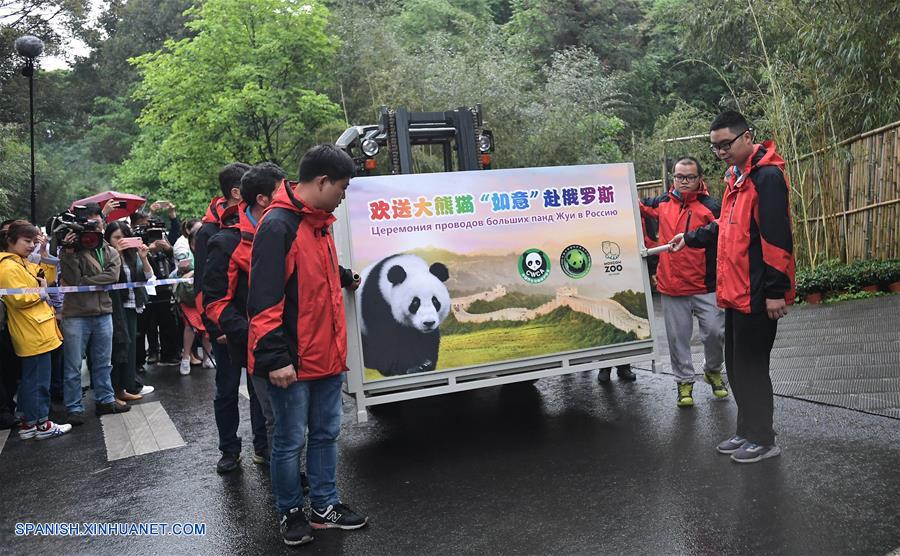 Pandas gigantes chinos viajan a Rusia