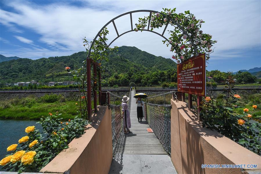 Jardín de rosas en Zhejiang