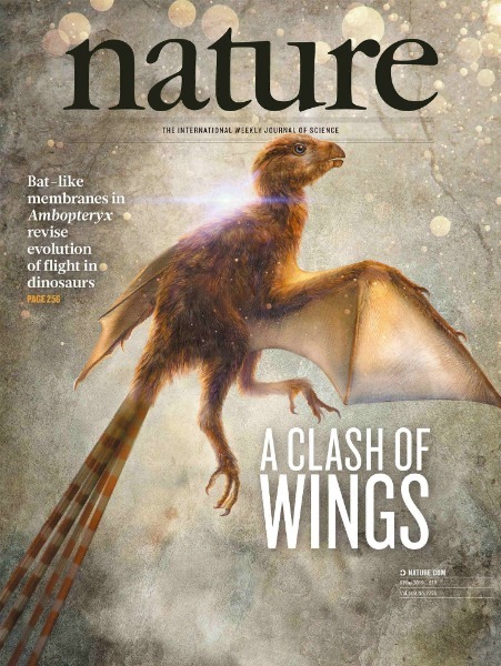 Portada de la revista Nature. [Foto: proporcionada a China Daily]