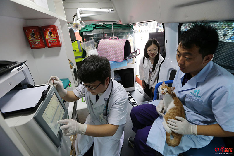 Nueva ambulancia veterinaria debuta en Chengdu