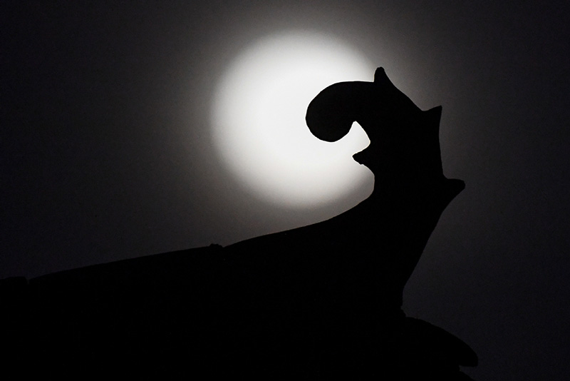 Una luna llena se eleva sobre un antiguo edificio en Taiyuan, provincia de Shanxi, en el norte de China, el 9 de marzo de 2020. [Foto de Wei Liang / chinadaily.com.cn]