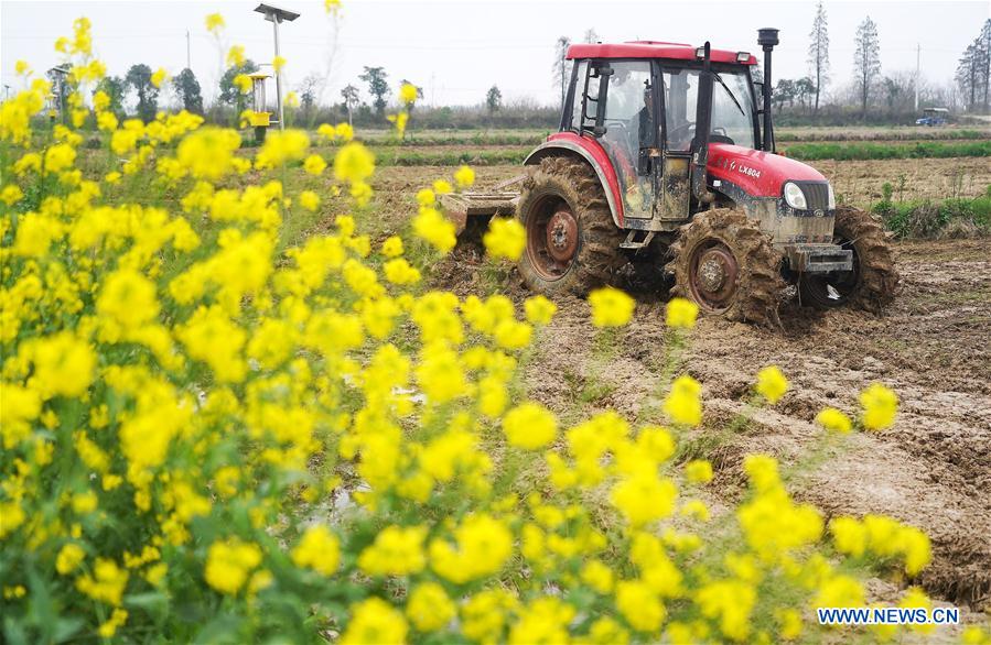 Agricultores manejan maquinaria agrícola para arar la tierra en una granja en Jiangxi