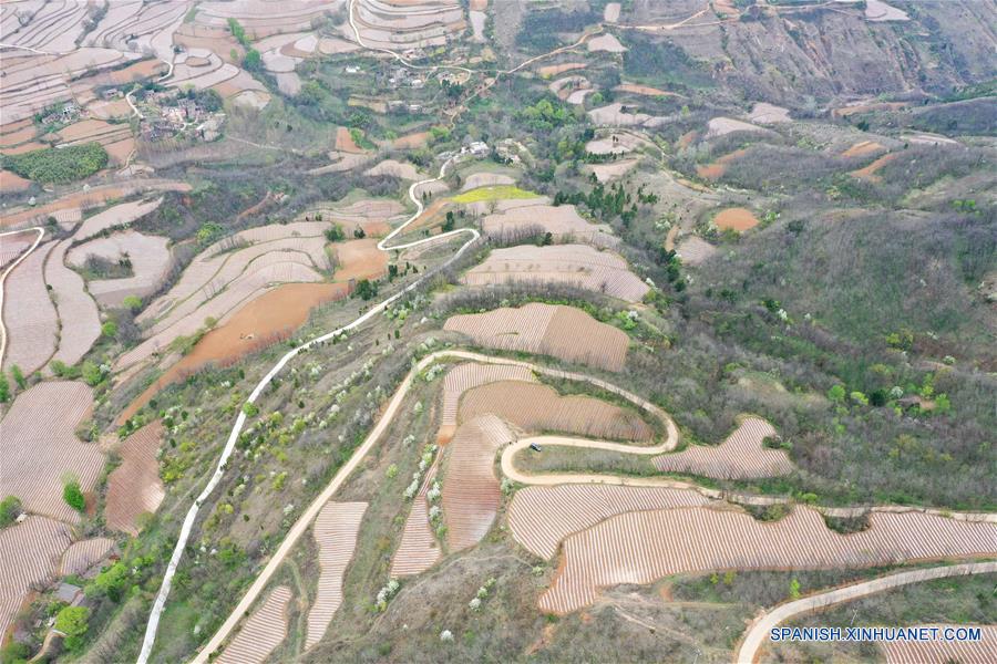 Henan: Campos en terrazas en Sanmenxia