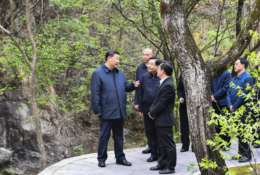 SHANGLUO, 20 abril, 2020 (Xinhua) -- El presidente chino, Xi Jinping, también secretario general del Comité Central del Partido Comunista de China y presidente de la Comisión Militar Central, inspecciona la conservación ecológica de las Monta?as Qinling en la Reserva Natural Nacional de Niubeiliang en el distrito de Zhashui, en la ciudad de Shangluo, en la provincia de Shaanxi, en el noroeste de China, el 20 de abril de 2020. (Xinhua/Xie Huanchi)