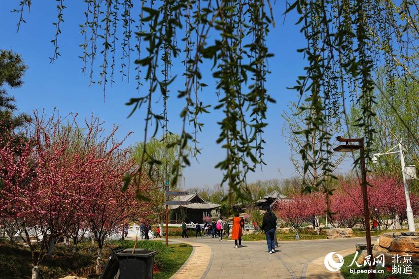 Se presenta al público el Parque de Exposiciones de Beijing