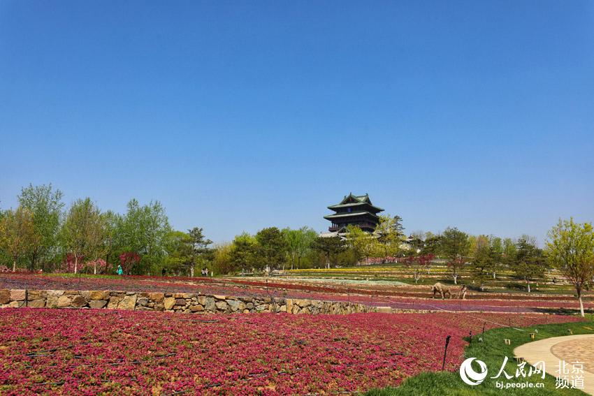 Se presenta al público el Parque de Exposiciones de Beijing