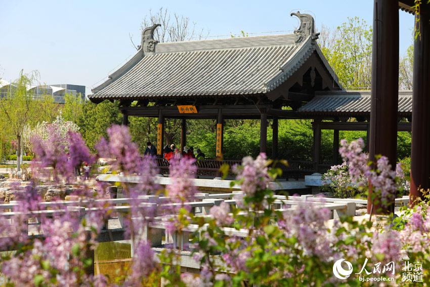 Se presenta al público el Parque de Exposiciones de Beijing