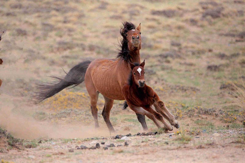 [Foto: Bao Changming/China Daily]