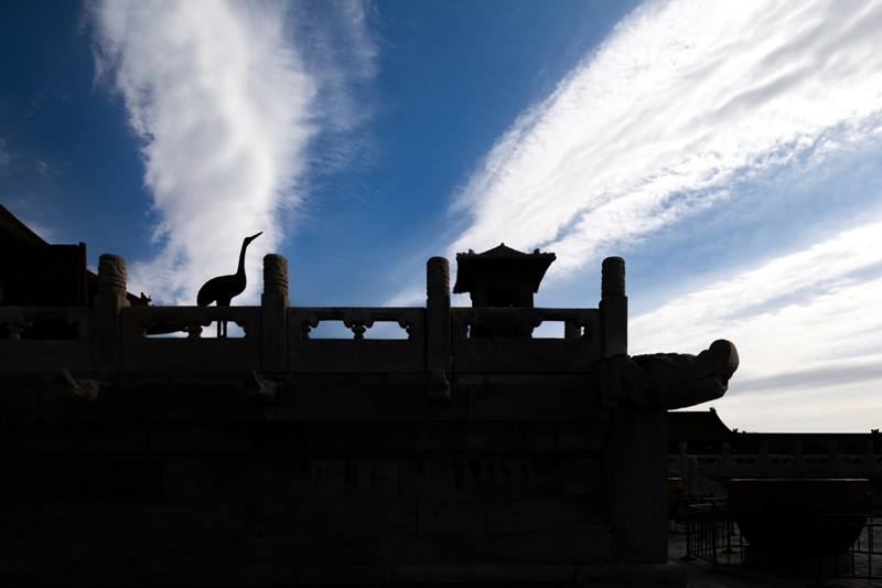 Obra fotográfica  “Mirando hacia arriba” de Su Tangshi, tomada en marzo del 2018 en el Palacio de la Pureza Celestial.