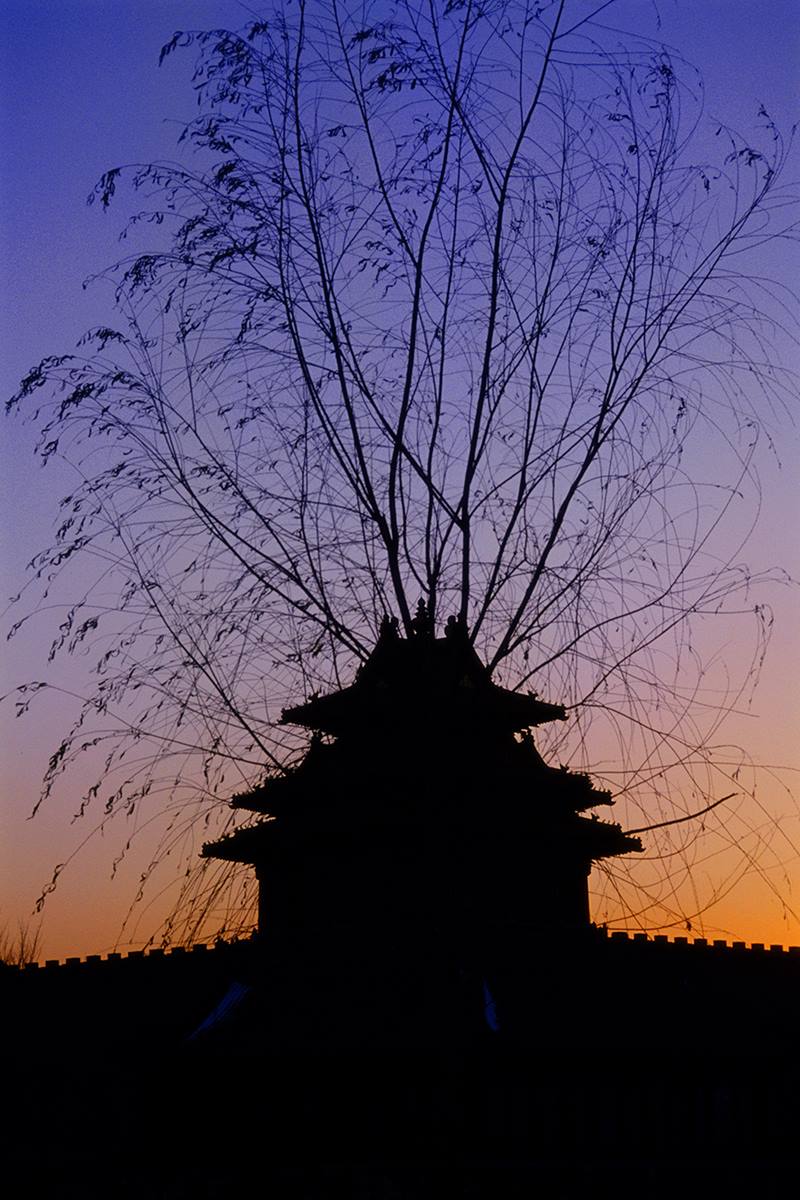 Obra fotográfica de Li Shaobai sobre el Museo del Palacio.