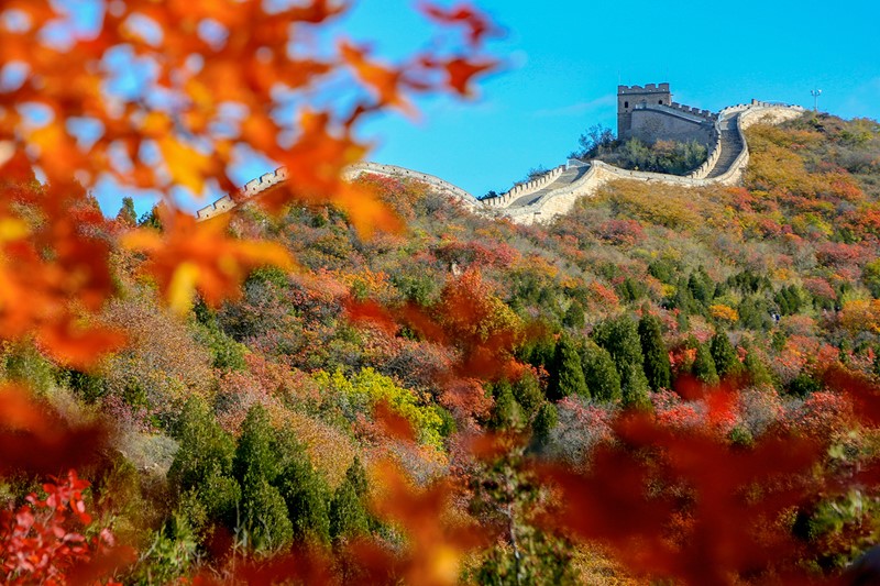 Colores cambiantes del oto?o en Beijing. [Foto: He Jianyong/ Chinadaily]