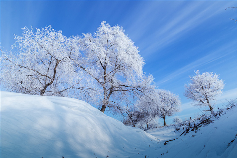 El hielo escarchado en los árboles crea un paisaje natural inusual, convirtiendo el condado Huma de la región de Daxinganling, provincia de Heilongjiang, en un paisaje de ensue?o. [Foto de Shi Yuhai / para chinadaily.com.cn]