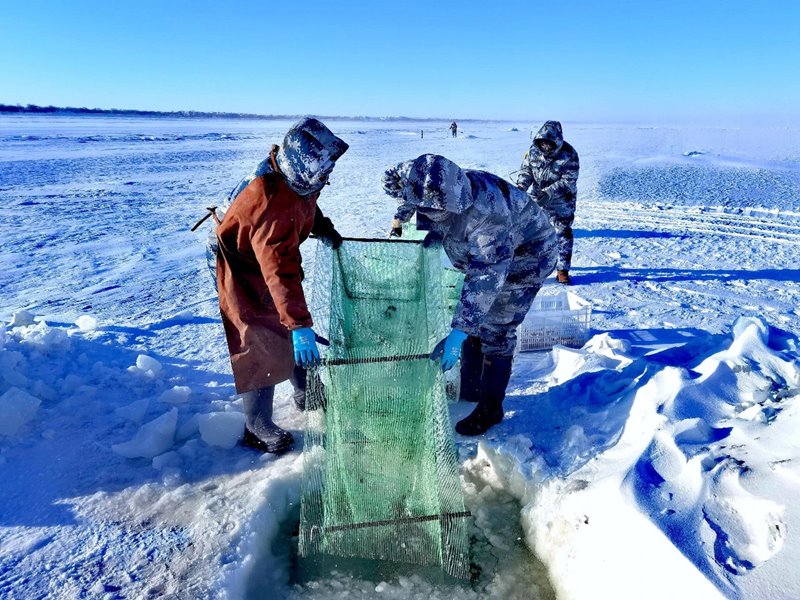 Residentes de Hexigten Banner de Chifeng utilizan métodos de pesca tradicionales, Región Autónoma de Mongolia Interior, 1o de enero del 2021. [Foto: Meng Zhigang/ China Daily]