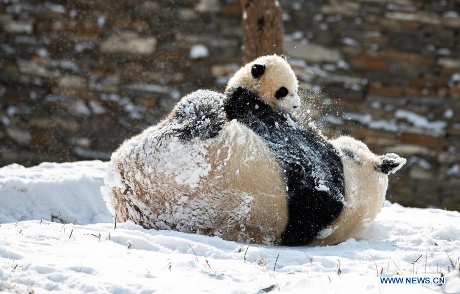 (Foto: Xinhua/ Jiang Hongjing)