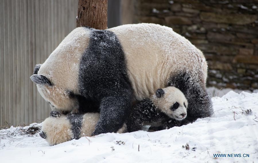 (Foto: Xinhua/ Jiang Hongjing)