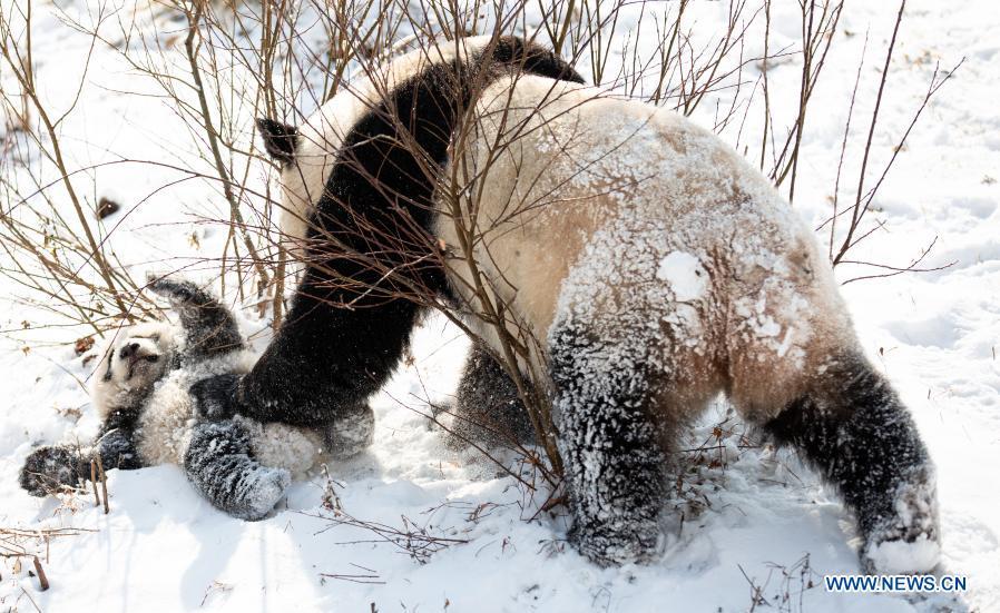 (Foto: Xinhua/ Jiang Hongjing)